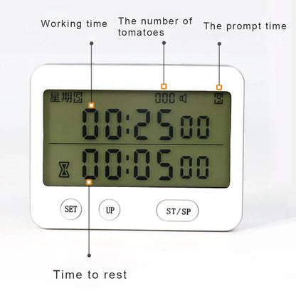 3-Channel Digital Kitchen Timer - Countdown and Up Pocket Timer