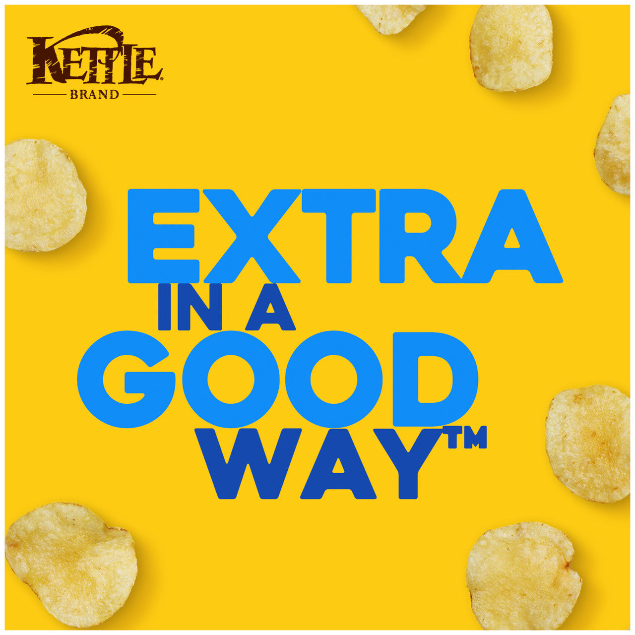 Kettle Chips Salt & Vinegar Potato Chips (15x5 Oz)-4